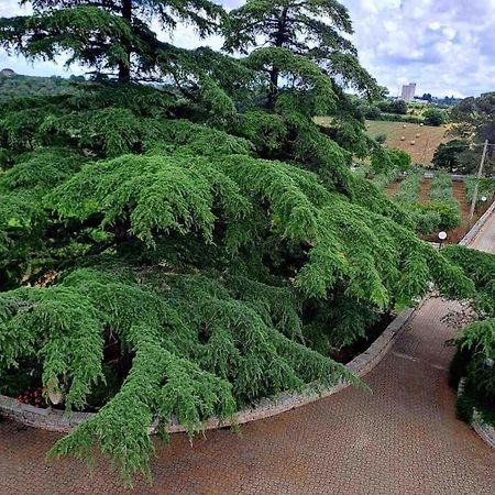 Casina Foggia Dell'Albero Putignano Exterior foto