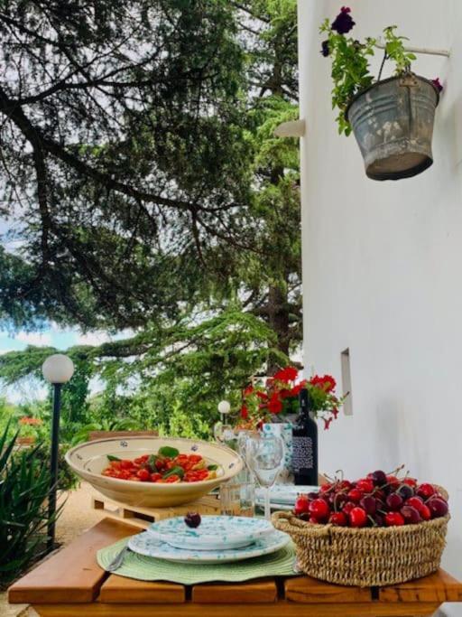 Casina Foggia Dell'Albero Putignano Exterior foto